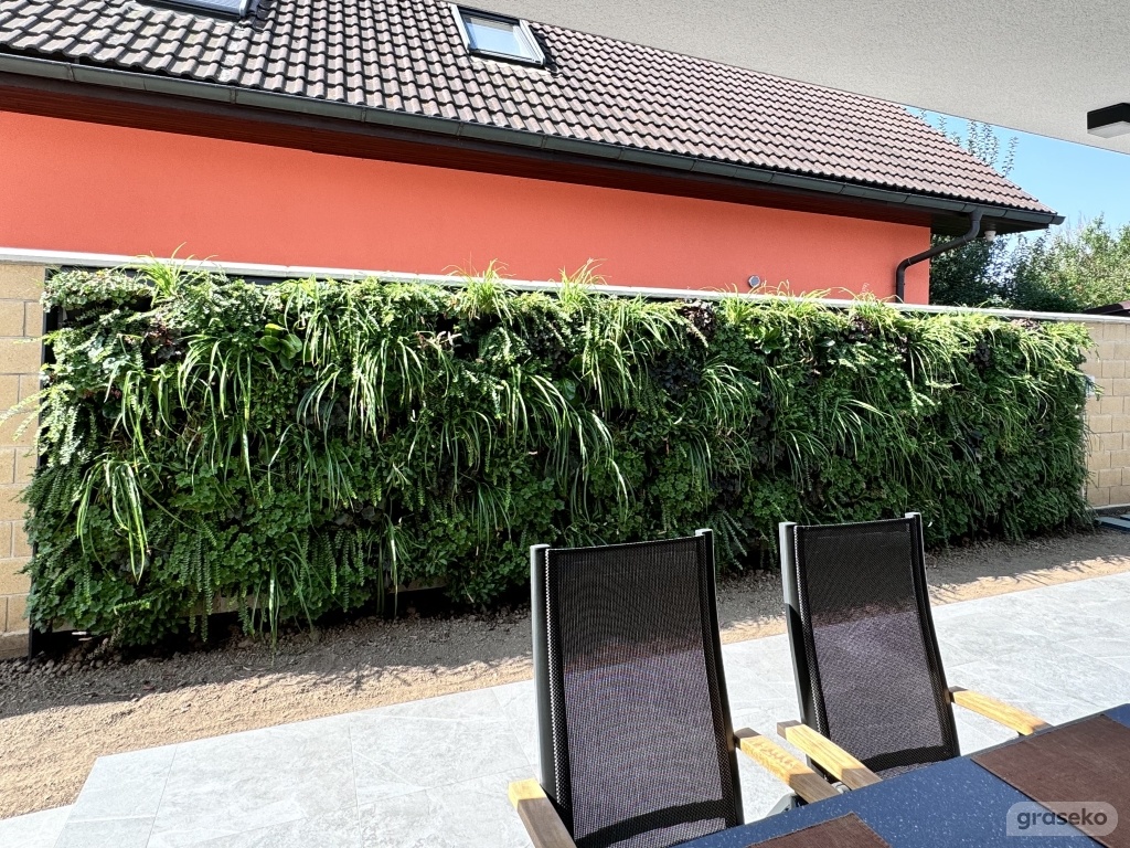 Zelená fasáda - Živá stěna Graseko_57